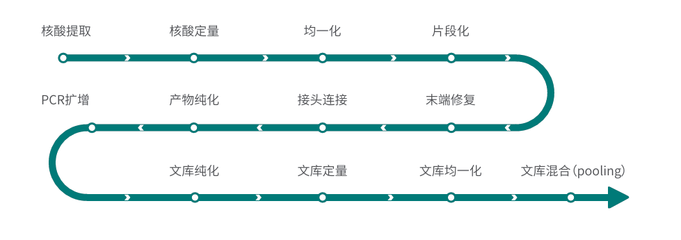 提取建库全流程.png